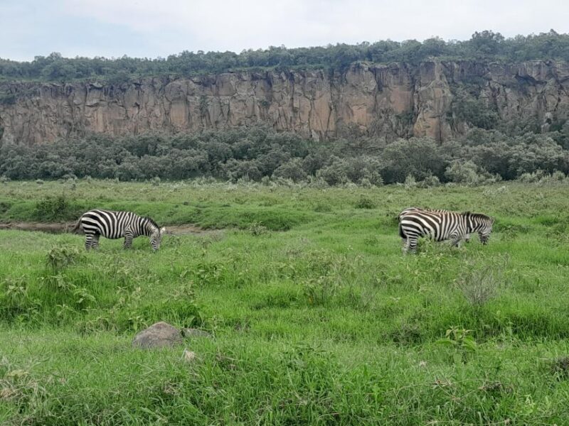 Day trip to Hells gate and Lake Naivasha - Authentic insights from past travelers