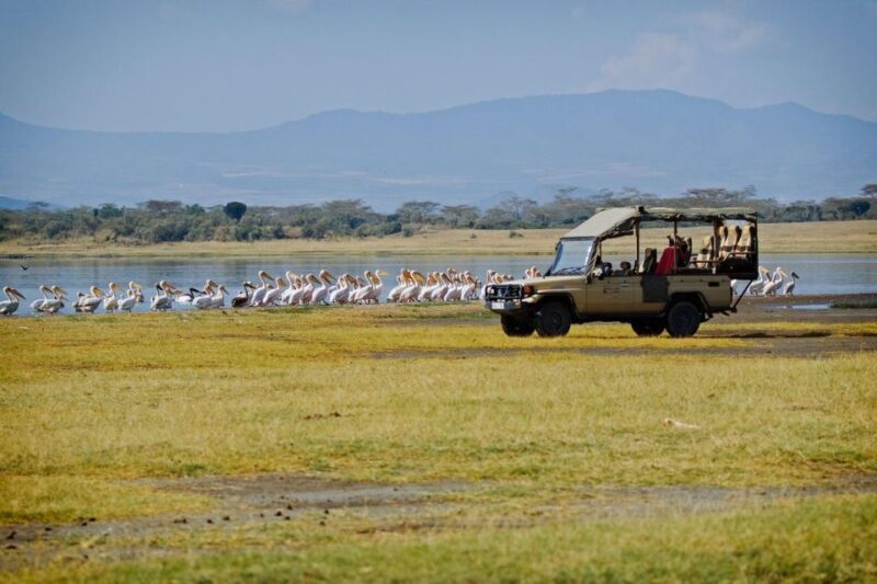 Day trip to Hells gate and Lake Naivasha - Final thoughts: Is this tour right for you?