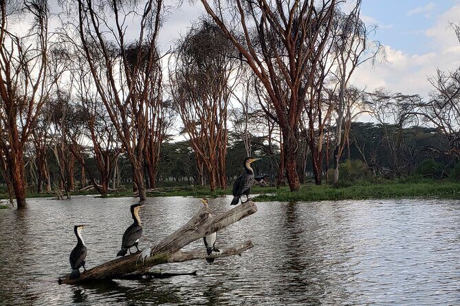 Day trip to Hells Gate National Park with boat ride on Lake Naivasha - The Itinerary in Detail