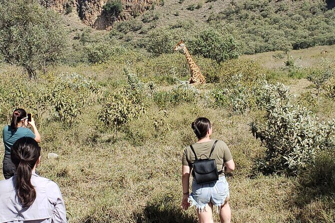 Day trip to Hells Gate National Park with boat ride on Lake Naivasha - The Sum Up