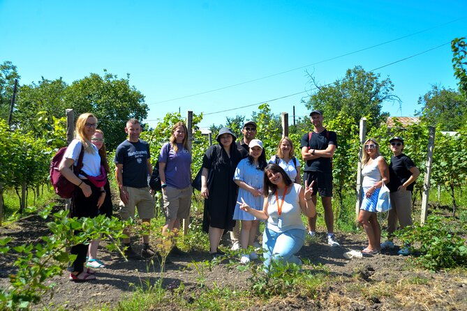 day-trip-to-kakheti-wine-region-including-seven-wine-tastings