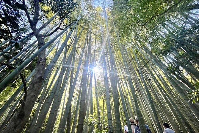 day-trip-to-kamakura-enoshima-shrines-seaside-temples-tea