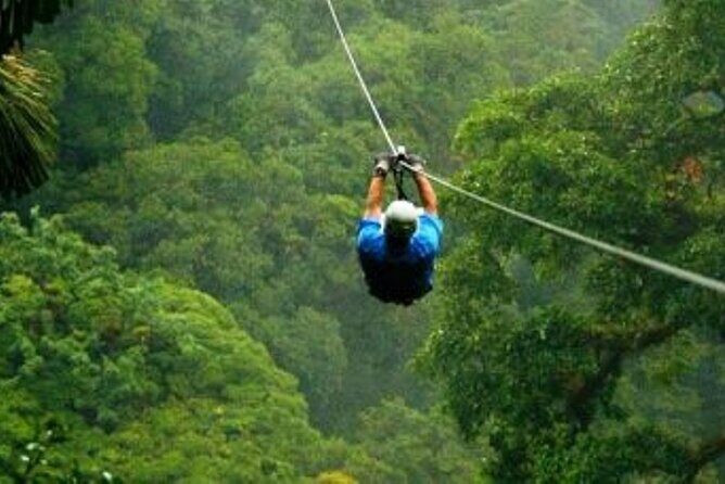 Day Trip to Kereita Forest and Ziplining - What You Can Expect from the Tour