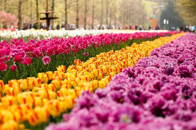 Day Trip to Keukenhof Gardens from Amsterdam with Tour Guide - The Itinerary Breakdown: What You Can Expect