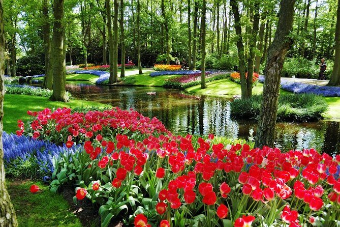 Day Trip to Keukenhof Gardens from Amsterdam with Tour Guide - What the Reviews Reveal: Authentic Insights