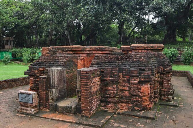 Day Trip to Konark (Guided Private Sightseeing Experience from Bhubaneswar) - Who Should Consider This Tour