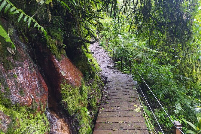 day-trip-to-la-chorrera-park-hiking-experience-to-highest-waterfall-in-colombia