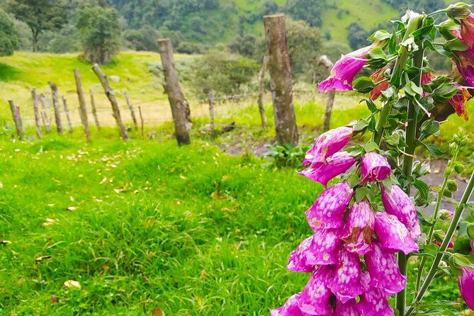 day-trip-to-la-chorrera-park-hiking-experience-to-highest-waterfall-in-colombia