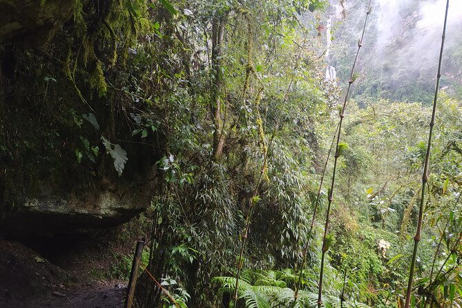 day-trip-to-la-chorrera-park-hiking-experience-to-highest-waterfall-in-colombia