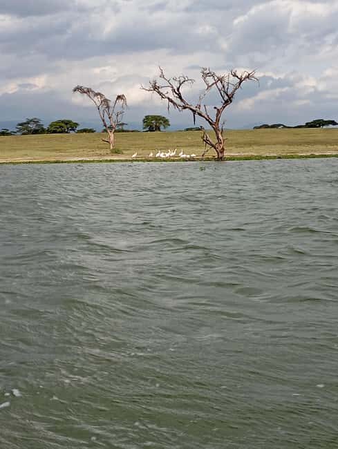 Day Trip to Lake Elementaita & Lake Naivasha from Nairobi - FAQs