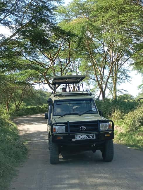Day Trip to Lake Nakuru National Park from Nairobi - An In-Depth Look at the Itinerary