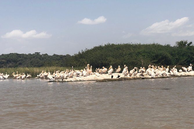 Day Trip To Lake Ziway - Who Is This Tour Best For?