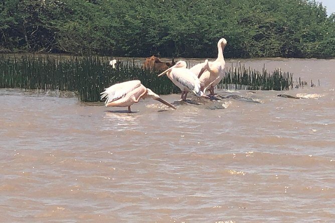 Day Trip To Lake Ziway - The Sum Up