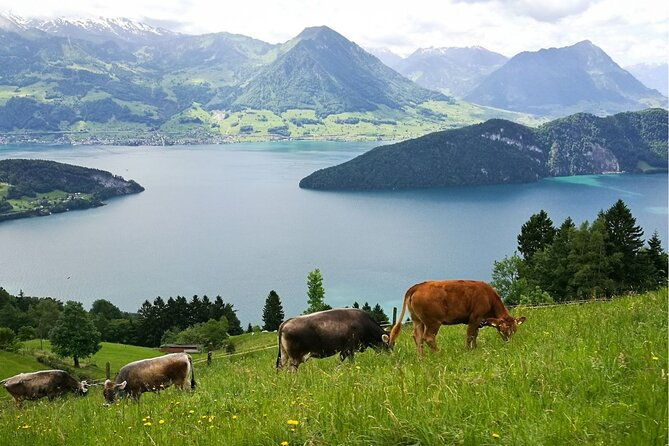 day-trip-to-lucerne-and-mt-rigi-with-a-local-from-zurich