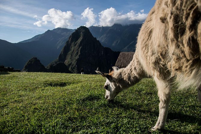 day-trip-to-machu-picchu-by-train-2