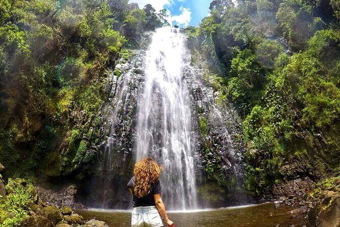 Day trip to Materuni waterfall, Coffee tour and Moshi Nightlife - Introduction