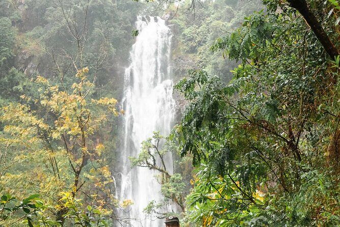 Day trip to Materuni waterfall, Coffee tour and Moshi Nightlife - Practical Details and Logistics