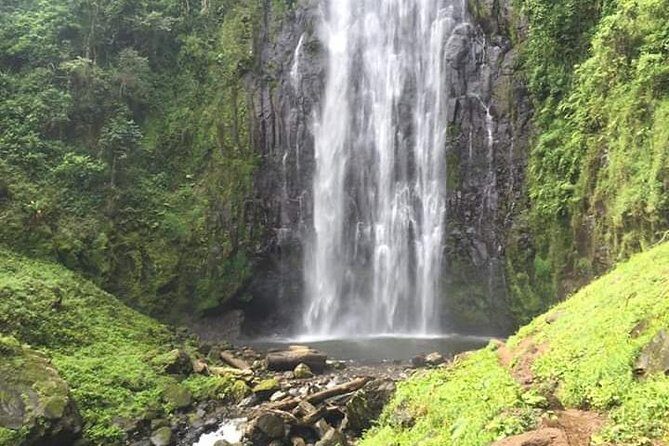Day trip to materuni waterfalls and coffee tour - Exploring Materuni Waterfalls and the Village