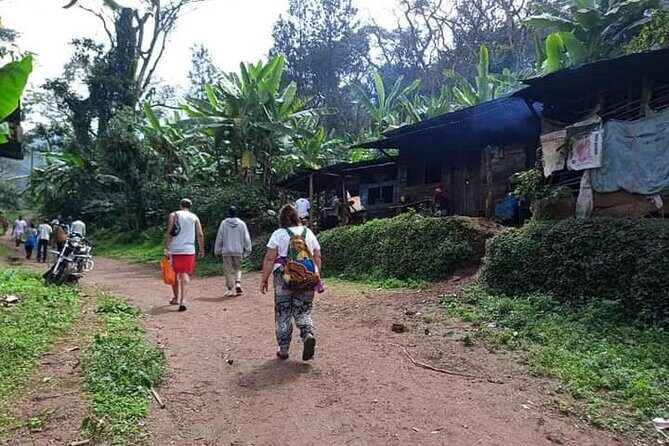 Day trip to materuni waterfalls and coffee tour - What Makes This Tour Stand Out?
