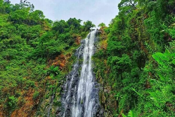 Day trip to materuni waterfalls and coffee tour - Who Is This Tour Best For?