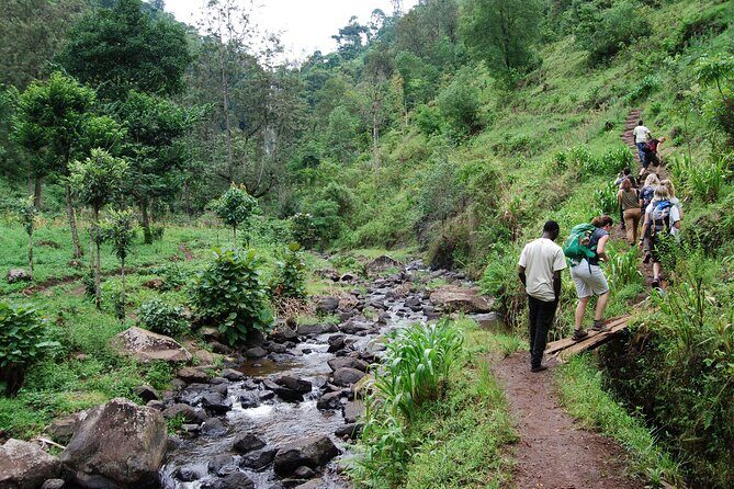 Day Trip To Materuni Waterfalls - Introduction
