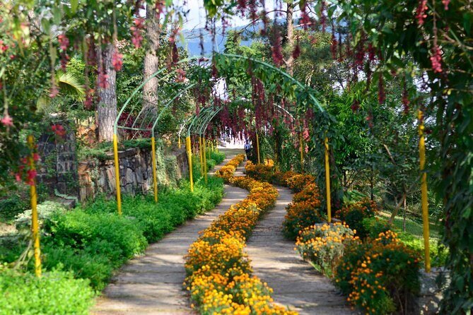 Day Trip to Mawlynnong (Guided Private Sightseeing Experience from Shillong) - A Detailed Look at the Mawlynnong Day Trip