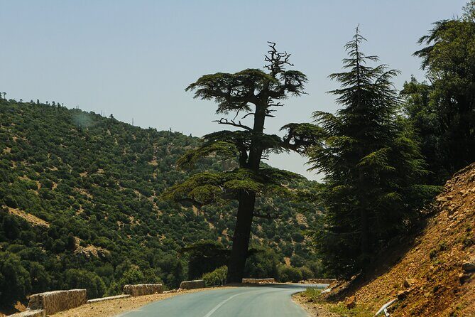 Day Trip to Middle Atlas Mountain and Berber Villages from Fes - Key Points