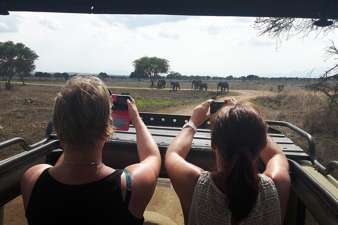Day trip to Mikumi National Park from Dar es salaam - The Full Experience: An In-Depth Look at the Mikumi Day Trip
