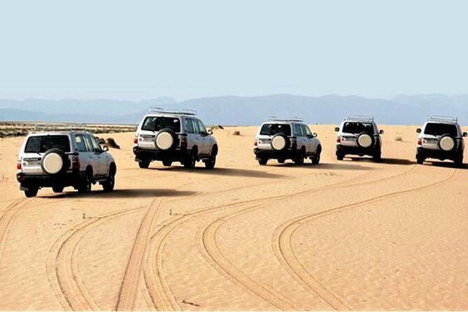 Day Trip to Mini Sahara - Key Points
