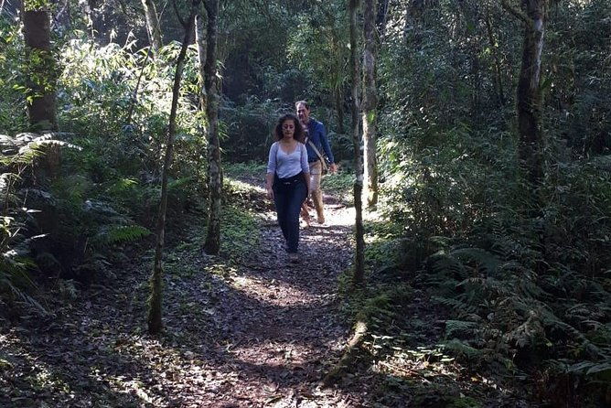 day-trip-to-mocona-falls-and-salto-encantado-provincial-park