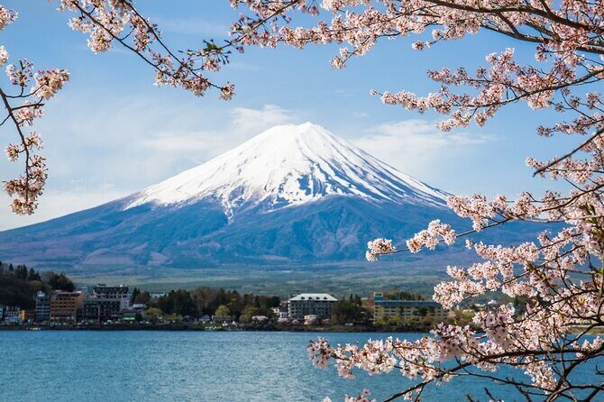 Day Trip To Mount Fuji and Hakone from Tokyo with English Guide - Key Points