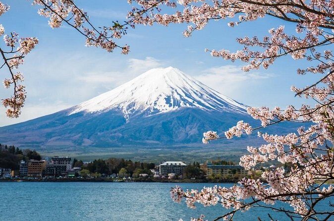Day Trip To Mount Fuji and Hakone from Tokyo with English Guide - FAQ