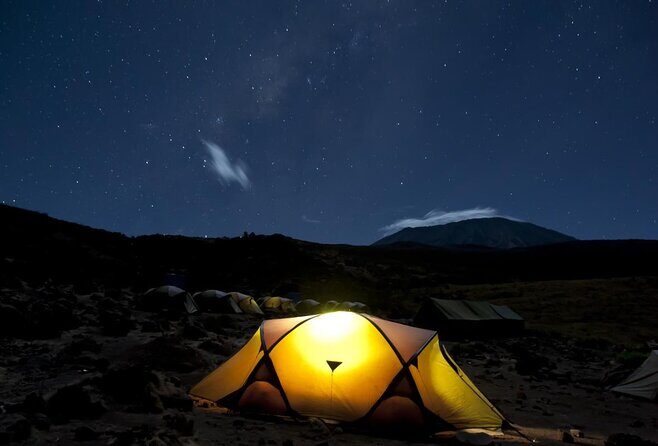 Day trip to mount Kilimanjaro - Experience the Mount Kilimanjaro Day Trip: A Practical Review