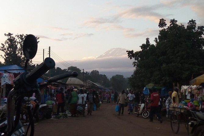 Day trip to mount Kilimanjaro - Key Points