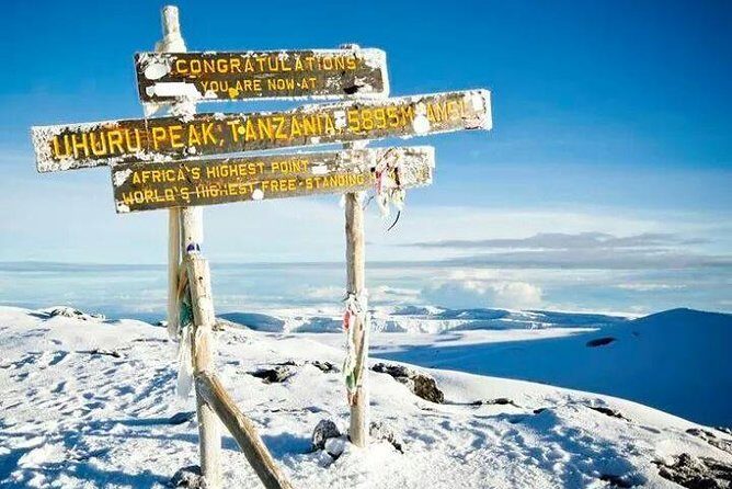 Day trip to mount Kilimanjaro - Final Thoughts: Is It Worth It?