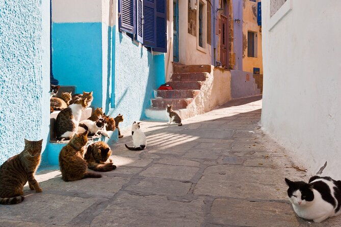 day-trip-to-nisyros-island