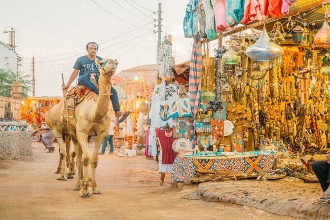 Day Trip to Nubian Village with Camel Tour from Aswan - The Sum Up