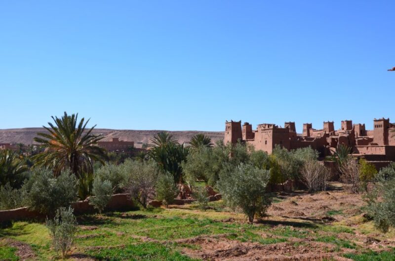 Day Trip To Ouarzazate & Ait Ben Haddou Kasbah - The Sum Up