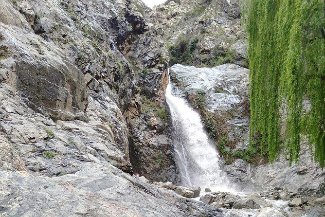 Day Trip to Ourika Valley and Atlas Mountains - Introduction to the Experience