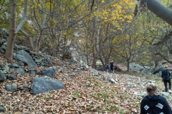 Day Trip to Ourika Valley and Atlas Mountains - The Cultural Touch: Berber Life and Local Stories