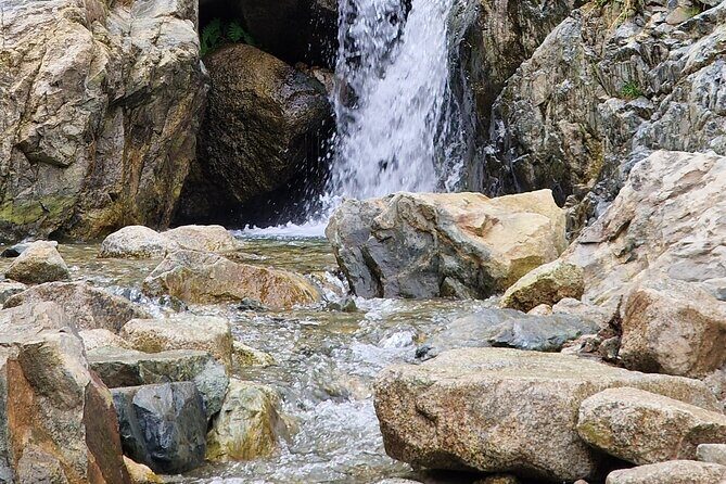 Day trip to Ourika Valley Explore the Atlas Mountains Beauty - Pricing & Value