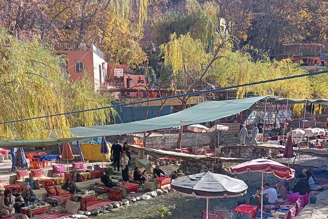 Day Trip to Ourika Valley from Marrakech - Key Points
