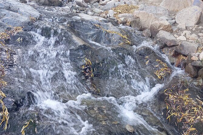 Day Trip to Ourika Valley from Marrakech - The Itinerary in Detail: What to Expect