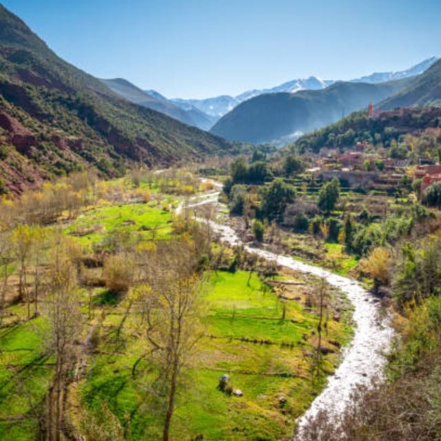 Day trip to ourika valley from marrakech with a group - Why This Tour Works Well for Different Types of Travelers