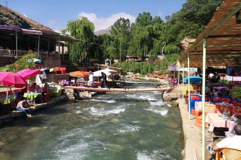 Day trip to Ourika valley lunch + guid + activité included - Key Points
