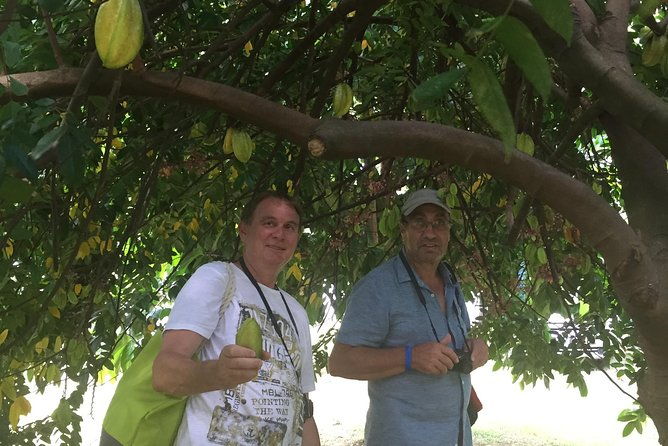 day-trip-to-pitch-lake-caroni-swamp-in-trinidad-from-tobago