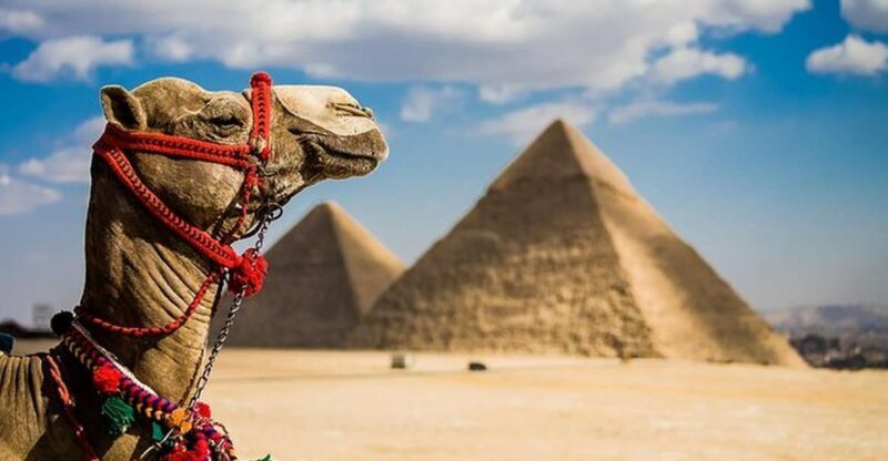 Day Trip to Pyramids & Museum from Ain Sokhna Port - Final Thoughts: Is It Worth It?