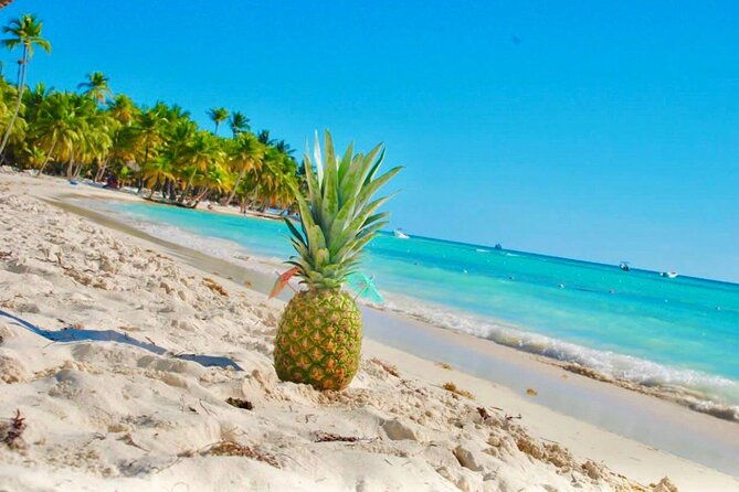 day-trip-to-saona-island-with-lunch-and-open-bar