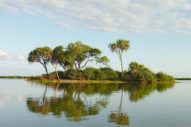 Day Trip to Selous National Park from Zanzibar or Dar es salaam - Practical Tips for Travelers