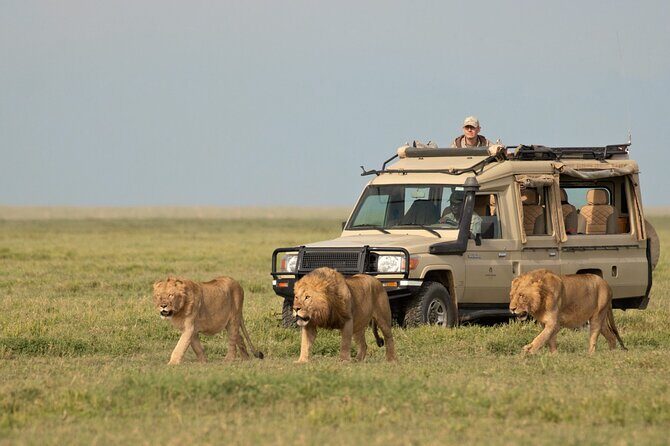 Day Trip to Selous (Nyerere) National Park Flying from Zanzibar - FAQ